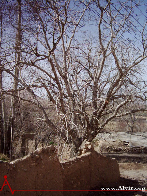 زمستان روستاي الوير ساوه