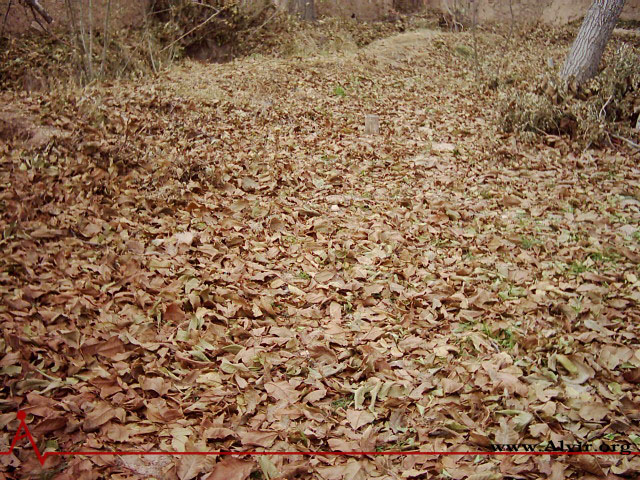 زمستان روستاي الوير ساوه