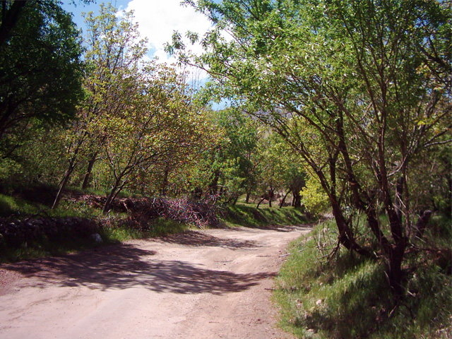 طبیعت روستای کله دشت