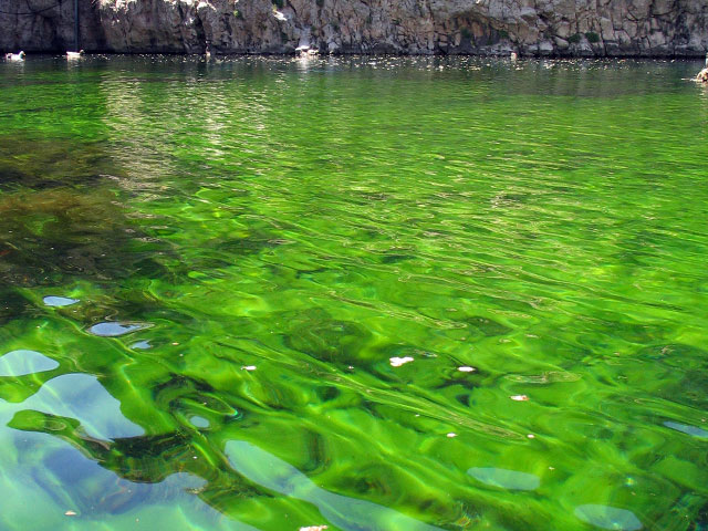 چشمه روستای بالقلو