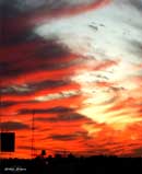 عكس‌هاي Sávio Sousa از ساوه - عوارضي ساوه-تهران