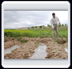 خرداد ماه روستاي الوير ساوه