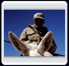 خرداد ماه روستاي الوير ساوه