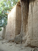 هماهنگی با طبیعت