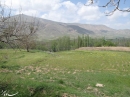 روستای مسلم آباد ساوه (از توابع نوبران)